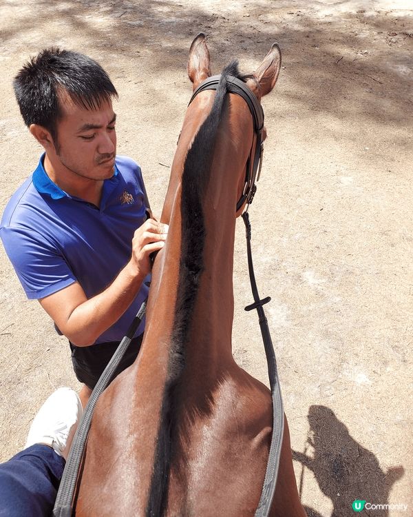 普吉國際馬術俱樂部, 海天一色美景，騎住馬沙灘打卡! 正！😙...