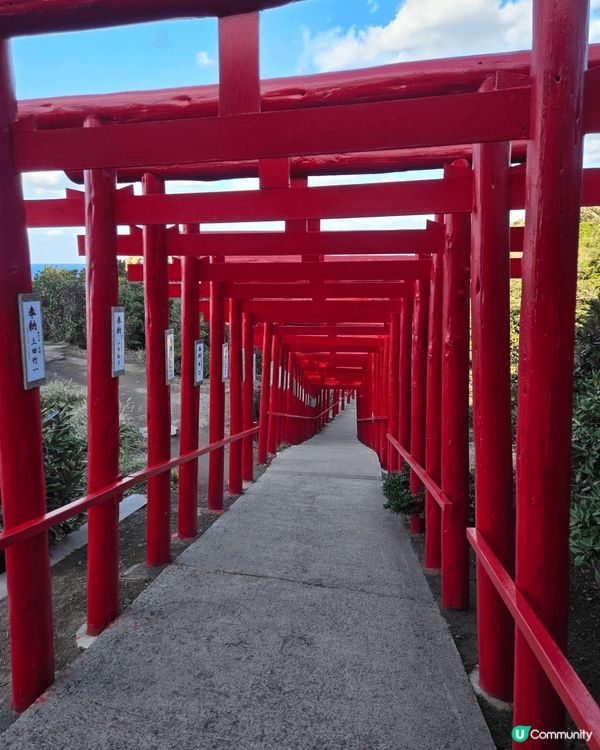 極小遊客的元乃隅神社 極多座鳥居 伸延到海邊 極美 很難到達...