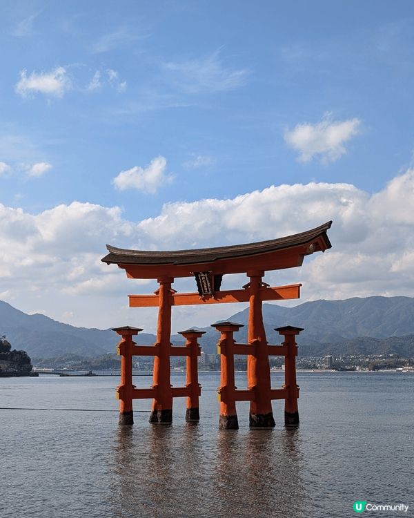 極小遊客的元乃隅神社 極多座鳥居 伸延到海邊 極美 很難到達...