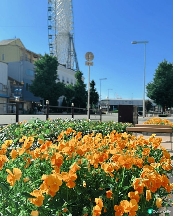 這3張相來自日本大阪，好天氣景色與空氣令人難以忘懷，由其當地...