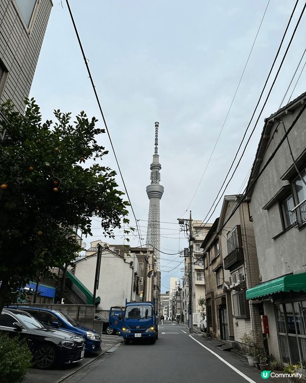 一家三口東京之旅，我們去了台場，睛空塔，上野動物公園。日本任...