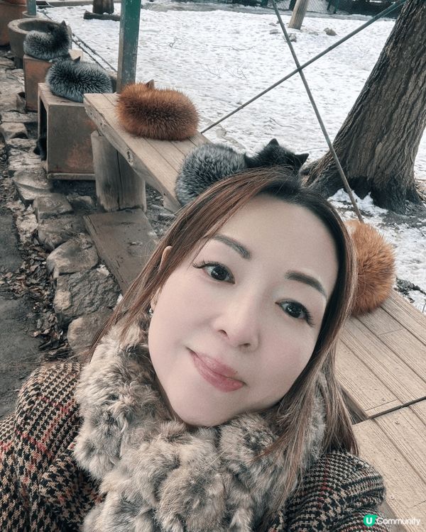 日本東京自由行，先到東京、銀座行街街。