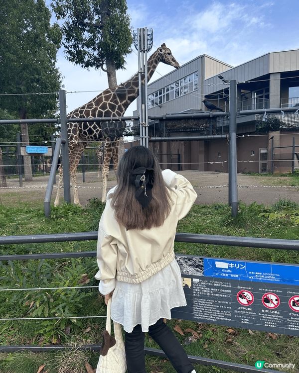 第一次去日本北海道札幌， 比我感覺真係同市區嘅日本係爭好遠，...