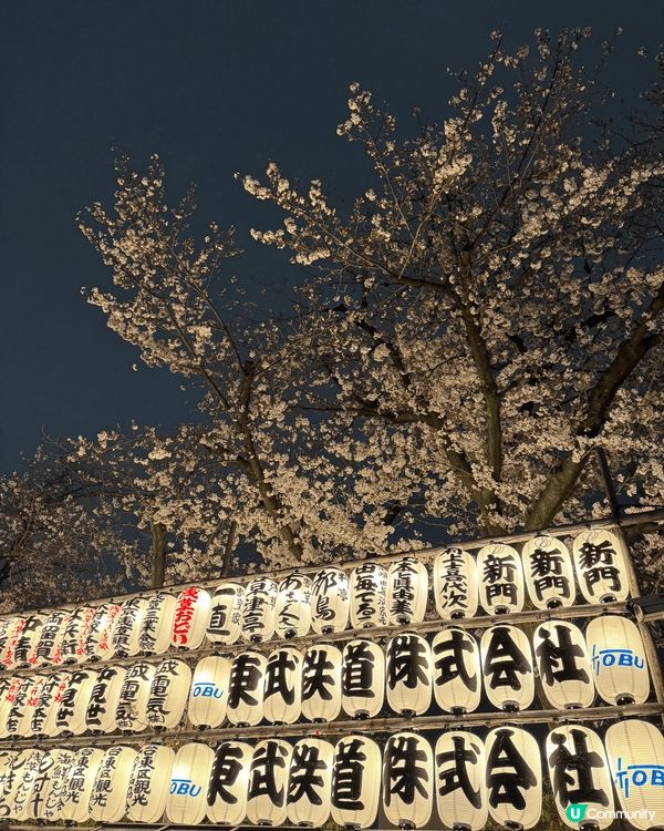 在櫻花季到了東京淺草旅遊，為大家推介淺草寺附近一間高級的日本...