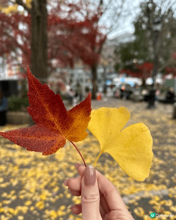 今次一個人東京之旅其中一站係原宿
