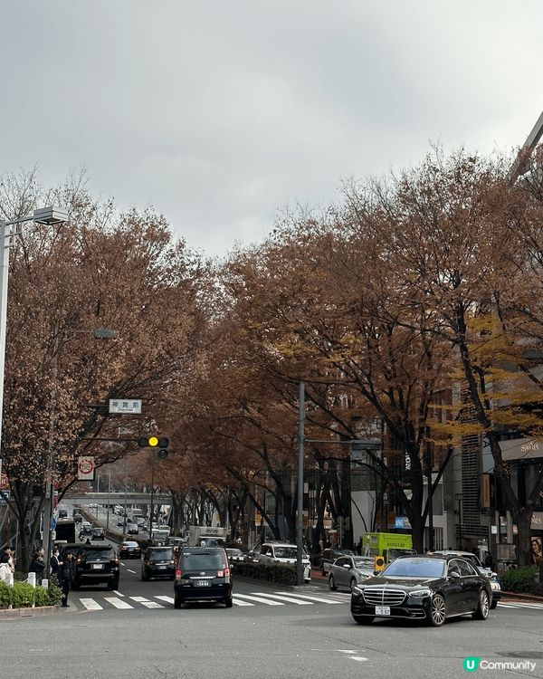 今次一個人東京之旅其中一站係原宿