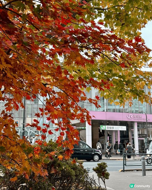 今次一個人東京之旅其中一站係原宿