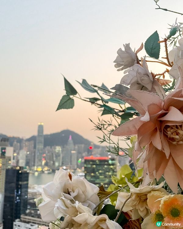 尖沙咀｜維港靚景酒樓。星海