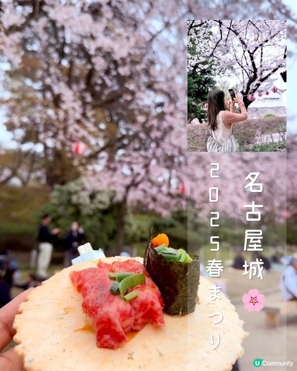 🆕2025年4月🌸名古屋城春祭🏯櫻花實況