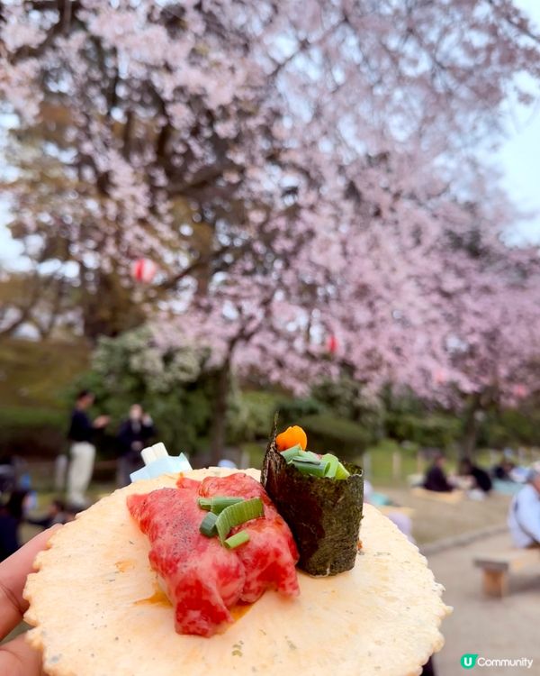 🆕2025年4月🌸名古屋城春祭🏯櫻花實況