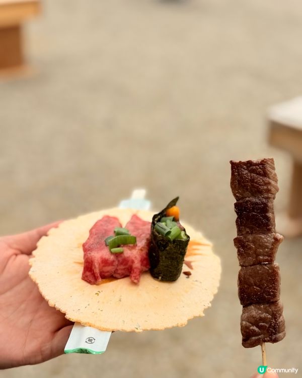 🆕2025年4月🌸名古屋城春祭🏯櫻花實況