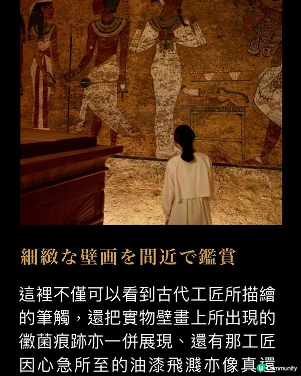 《❌3D眼鏡》直接走入古埃及墓室🪬