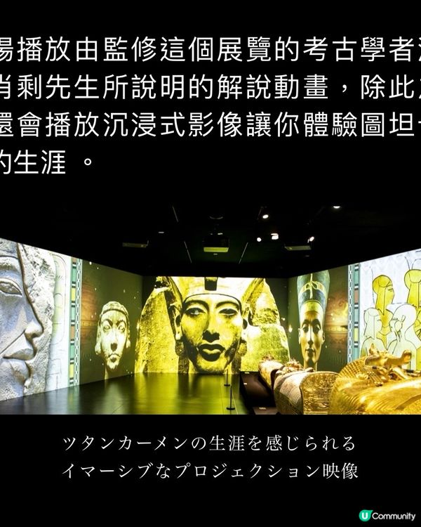 《❌3D眼鏡》直接走入古埃及墓室🪬