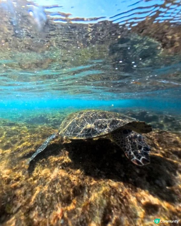 小琉球的自由潛水夢!在小琉球Once Freediving 學 AIDA2證照，體驗一趟身心靈療癒旅程