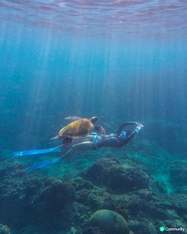 小琉球的自由潛水夢!在小琉球Once Freediving 學 AIDA2證照，體驗一趟身心靈療癒旅程