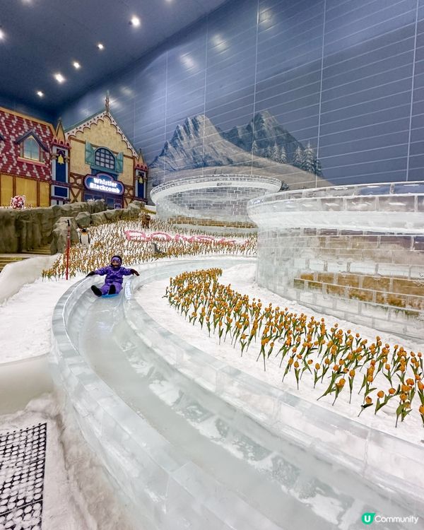 🤩一年四季都可以盡情滑雪🏂爽呀!