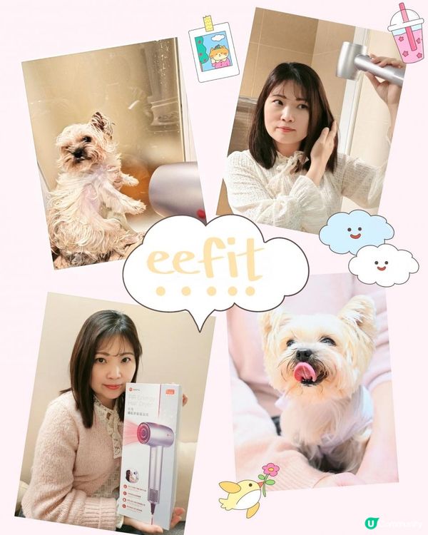 依飛風筒，為我和毛孩帶來雙重呵護 🌬