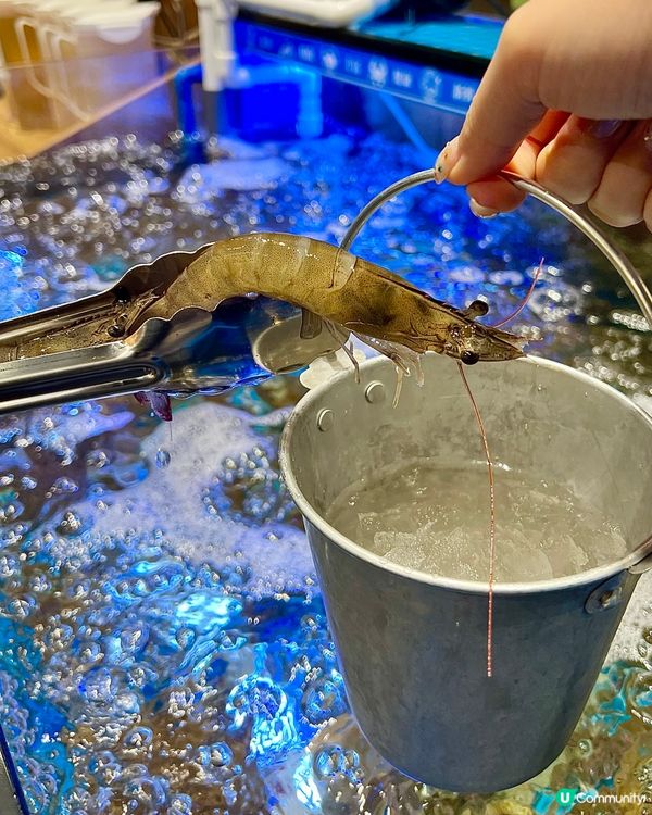 任食泰式火鍋 自助撈鮑魚海蝦好好玩！