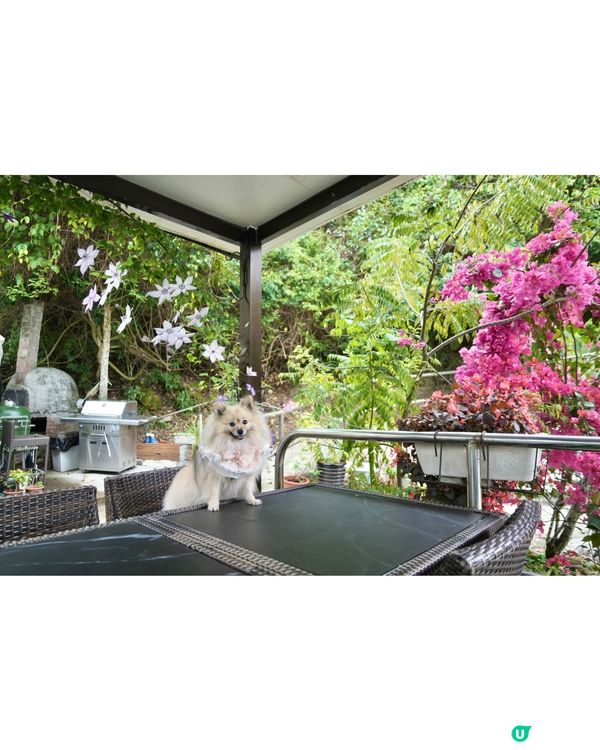 靚海景花園中用餐