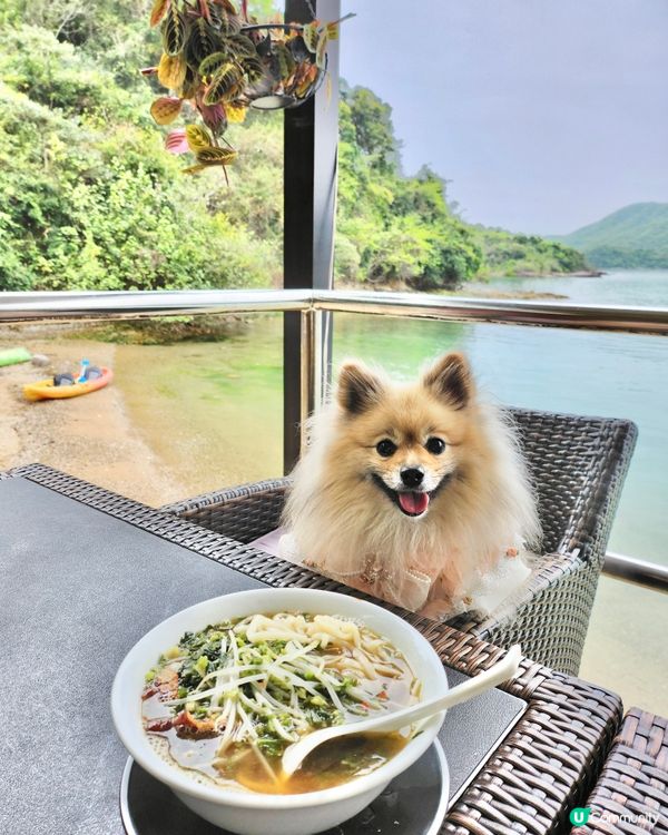 靚海景花園中用餐