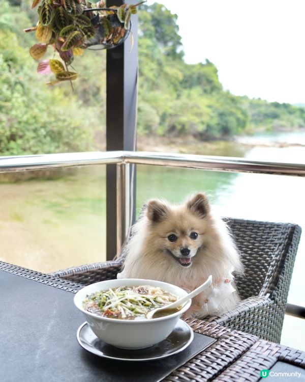 靚海景花園中用餐