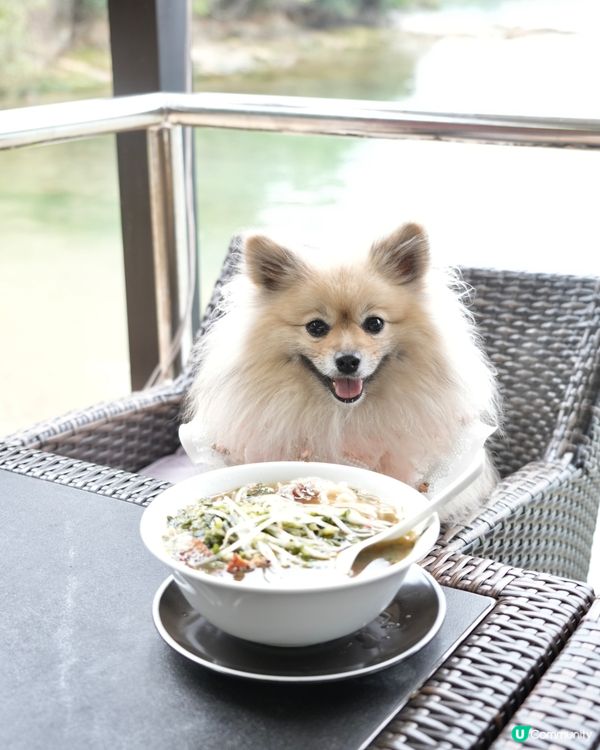 靚海景花園中用餐
