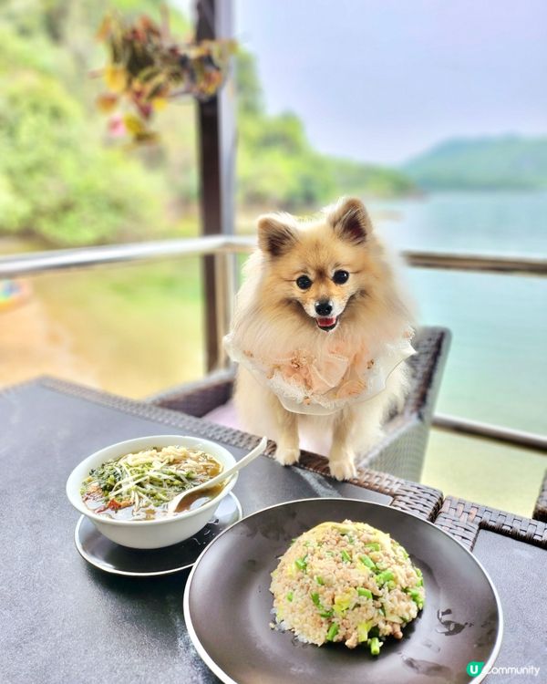靚海景花園中用餐