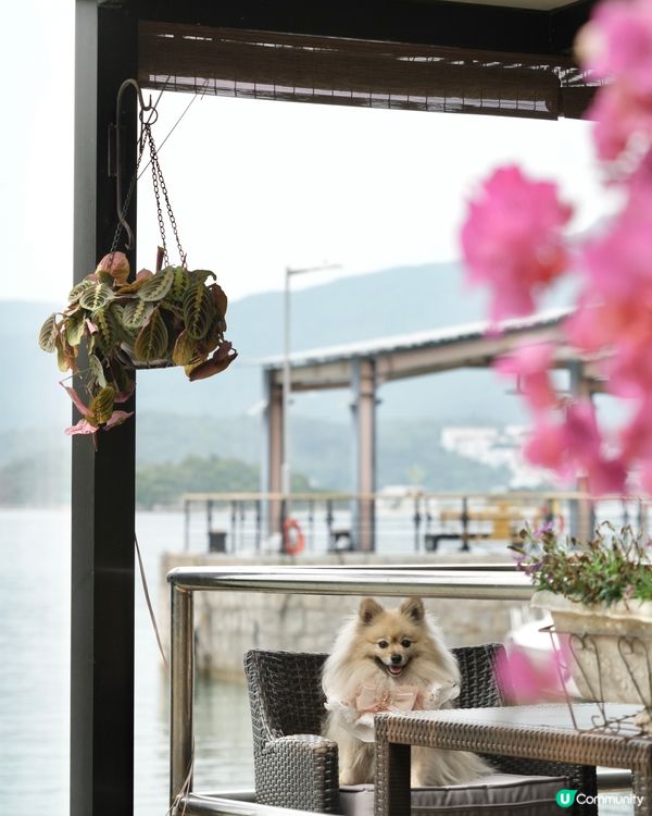 靚海景花園中用餐