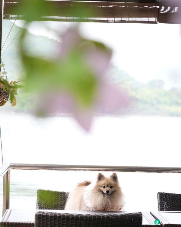 靚海景花園中用餐