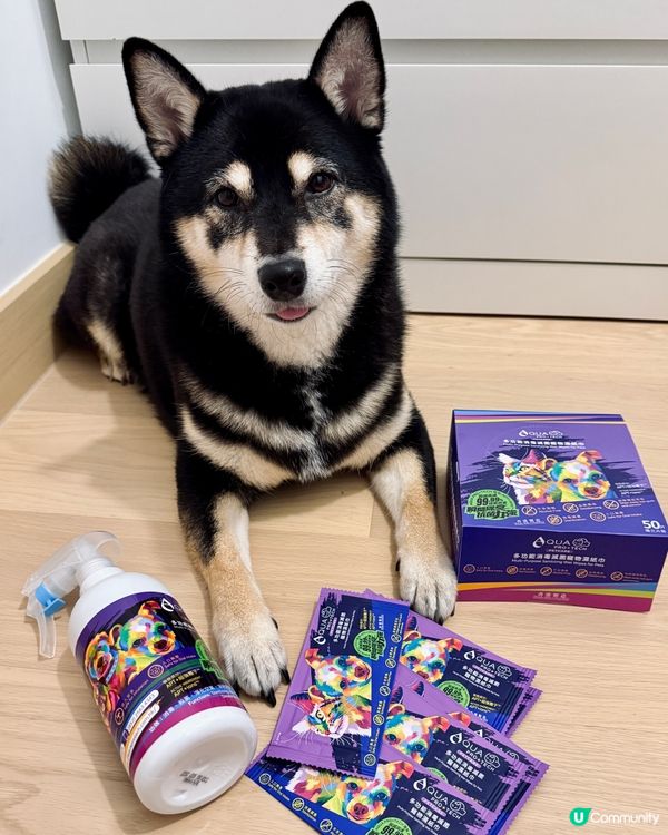毛孩消毒殺菌必備🦠AQUA PRO+TECH PETCARE