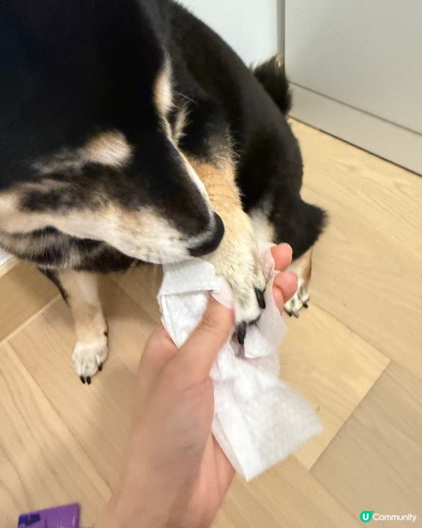 毛孩消毒殺菌必備🦠AQUA PRO+TECH PETCARE