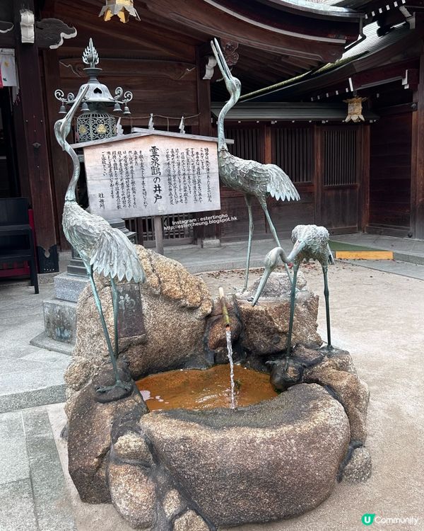 博多總鎮守💕 祈求青春長壽⛩️ 可愛梳子造型御守🌸 觀賞櫻花