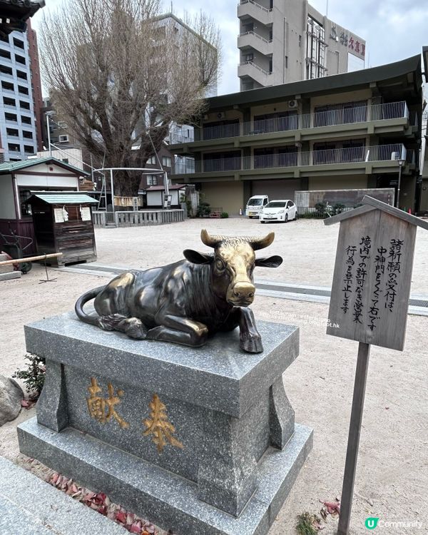 博多總鎮守💕 祈求青春長壽⛩️ 可愛梳子造型御守🌸 觀賞櫻花