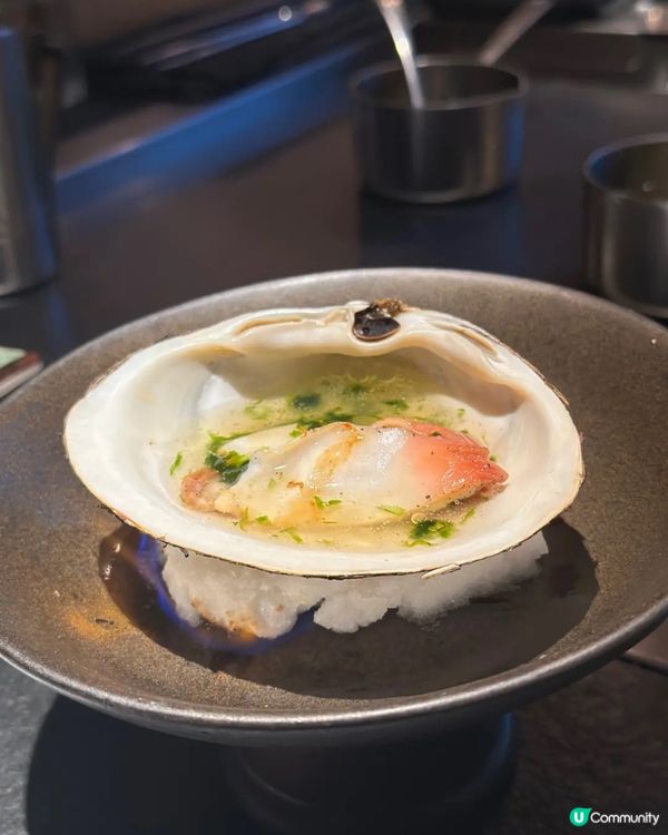 板神5週年超抵套餐🎉 豪食九頭鮑魚🦞法國鱈魚🐟