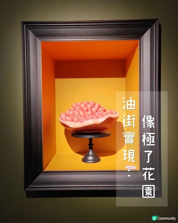 油街實現展覽（二）：探索自然物與身體的關係👥