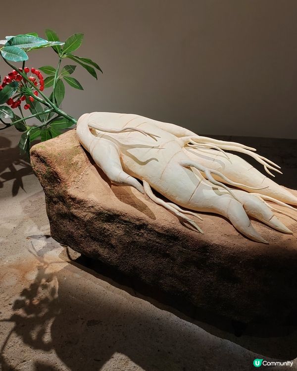 油街實現展覽（二）：探索自然物與身體的關係👥