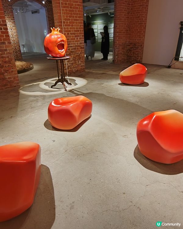 油街實現展覽（二）：探索自然物與身體的關係👥