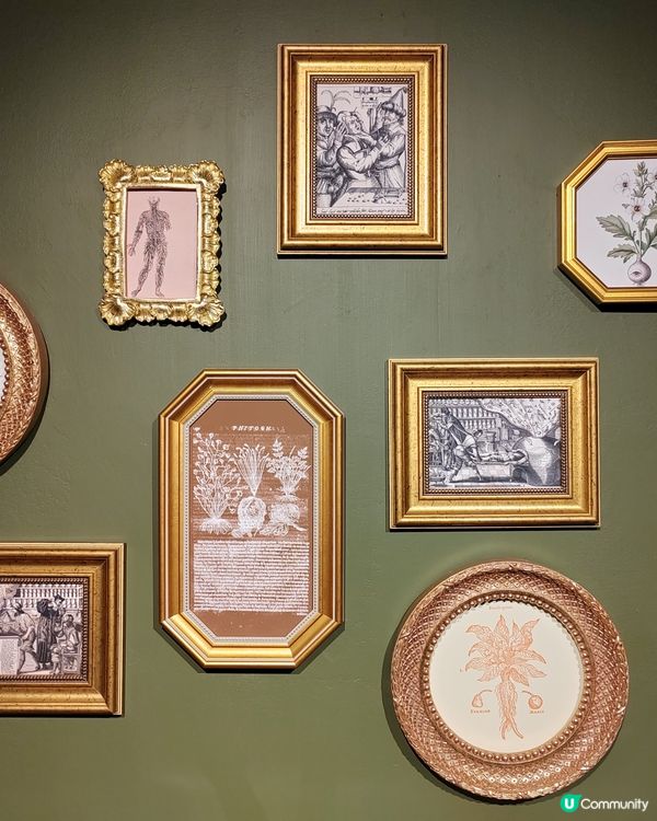 油街實現展覽（二）：探索自然物與身體的關係👥