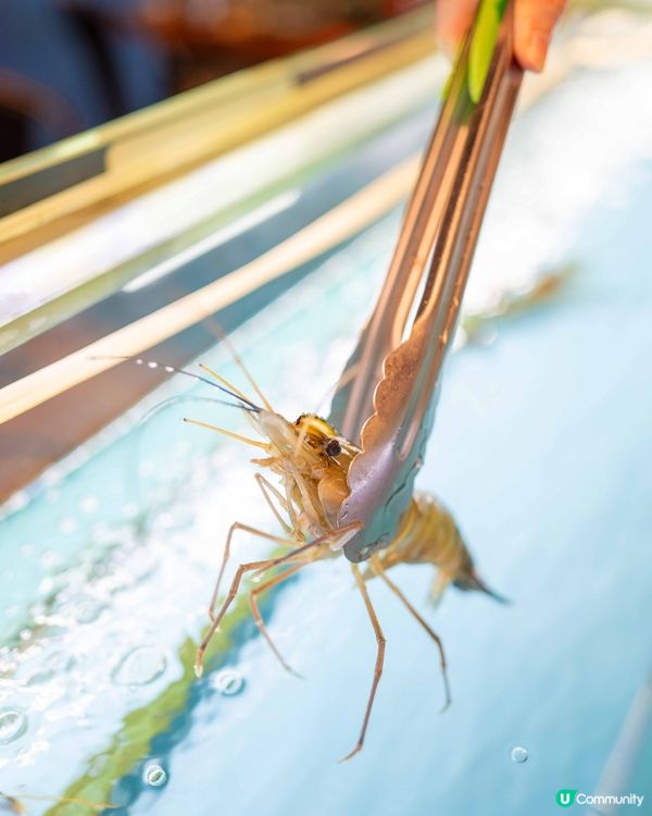 $348無限時任食燒生蠔鮑魚大頭蝦？！😱🤤