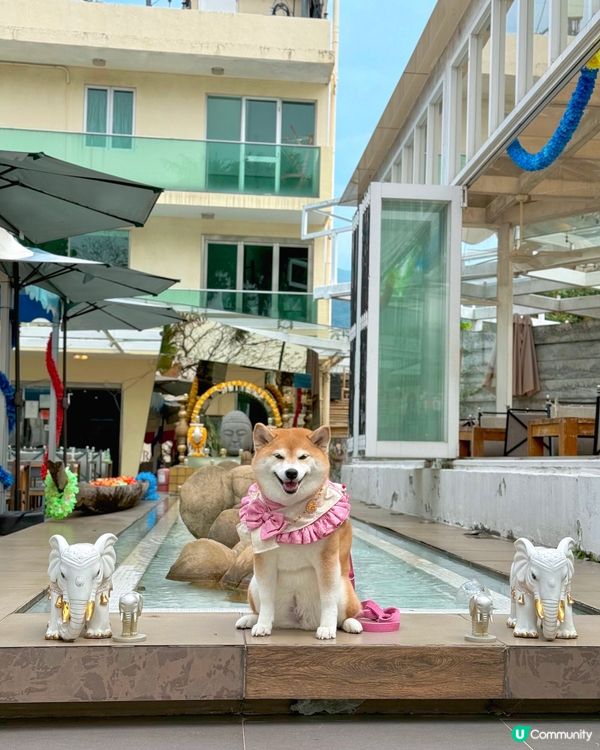 Villa風泰國菜餐廳