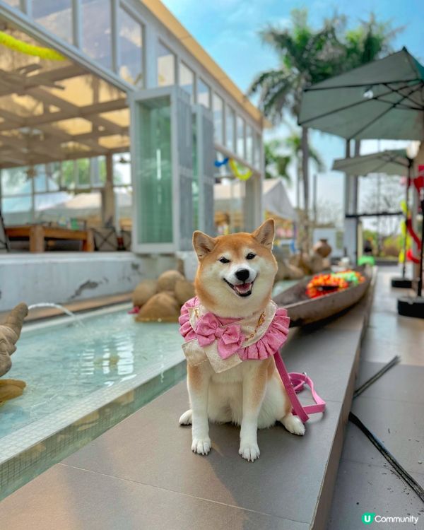 Villa風泰國菜餐廳