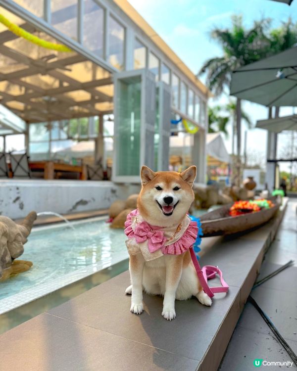 Villa風泰國菜餐廳