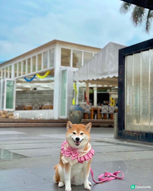 Villa風泰國菜餐廳