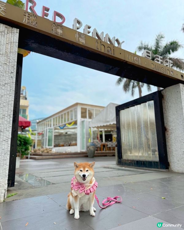 Villa風泰國菜餐廳