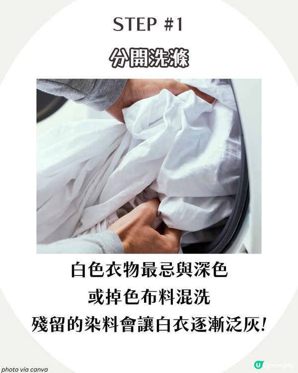 白衫變黃變灰點算？6大必學白Tee保養方法 讓衣物瞬間亮白如新！✨