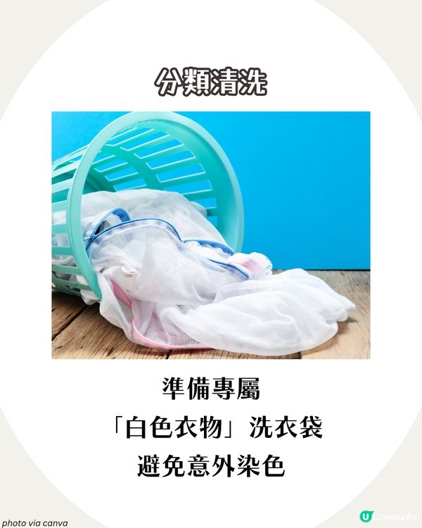 白衫變黃變灰點算？6大必學白Tee保養方法 讓衣物瞬間亮白如新！✨