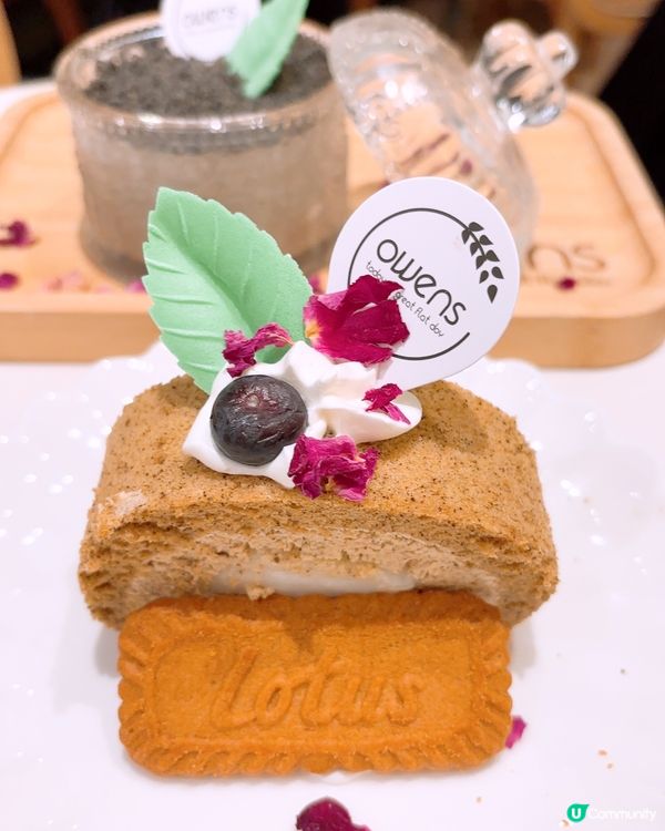 🩷人氣打卡cafe☕️☕️