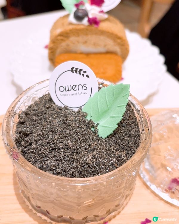 🩷人氣打卡cafe☕️☕️