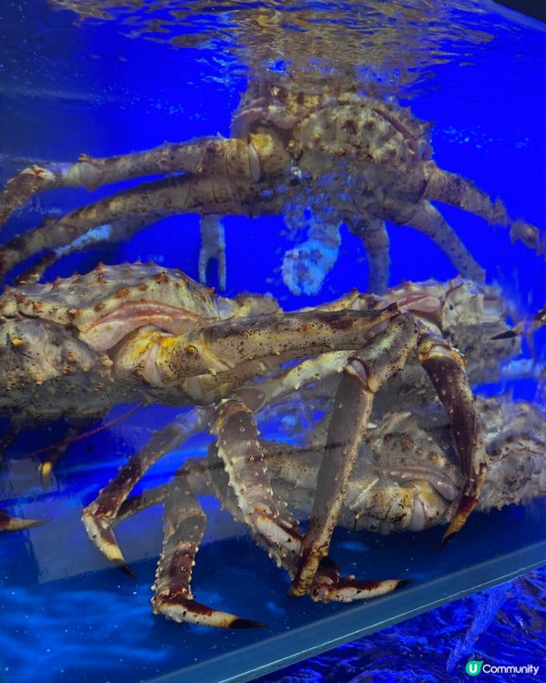 生日月🦀食好啲！蟹道雙人套餐抵食😋