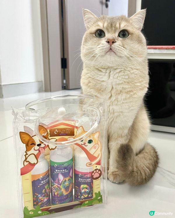 眾所周知 屁屁超級帥🤵‍♂️✨ 